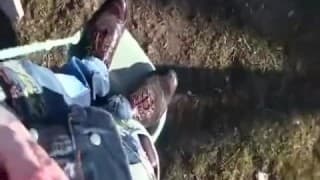 Redhead gives handjob in public park Redhead gives handjob in public park