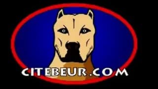 An intense blowjob session between gays An intense blowjob session between gays