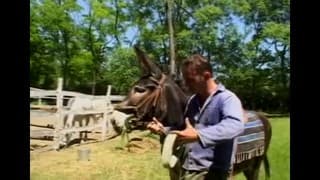 Laura Orsolya likes to fuck outdoor Laura Orsolya likes to fuck outdoor