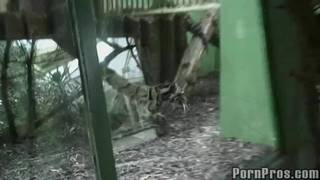 A slut for dick strokes on her face Brunette , Small Tits