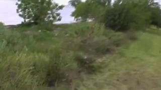 Marina Maywood gets penetrated in nature Blonde, Facial Ejaculation, POV , Pornstar, Outdoor