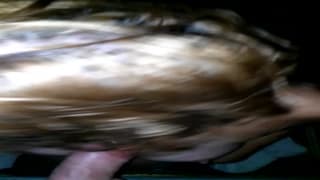 Sucking cock for over half an hour Sucking cock for over half an hour