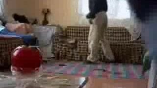 An amateur couple fucking in the lounge An amateur couple fucking in the lounge