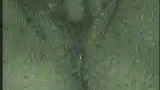 A very close up masturbation session