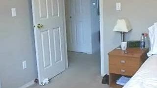 She masturbates on webcam for you to see She masturbates on webcam for you to see