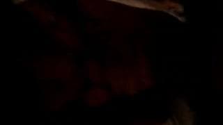 A brunette gives a good blowjob on camera A brunette gives a good blowjob on camera