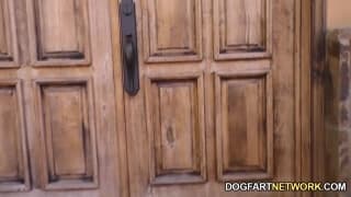 Casey Calvert is banged by black men Casey Calvert is banged by black men