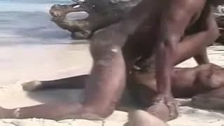 Fucking in the sand is just how they like it Fucking in the sand is just how they like it