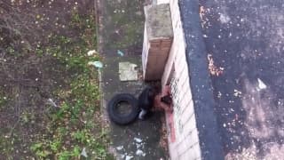 Amateur couple caught fucking outdoors Amateur couple caught fucking outdoors