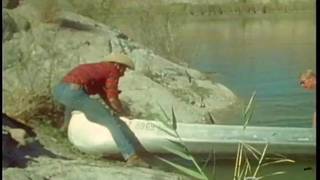 Ed Wiley loves to have his dick sucked Ed Wiley loves to have his dick sucked