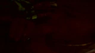 Sucking and having sex in front of the camera