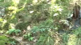 Martin and Matti suck with a friend Martin and Matti suck with a friend