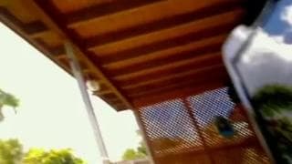 Brunette has a super hot ass in front of us