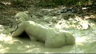 Here we enjoy her covered in mud playing Here we enjoy her covered in mud playing
