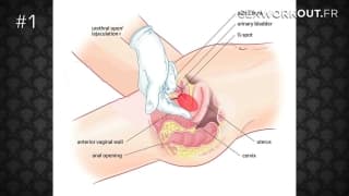 How2fuck : how to satisfy your wife Blonde, Soft , Full HD, European