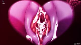 Getting fucked by a sexy pink alien Hentai, Cumshot, Full HD, Hentai 3D