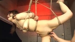 Medley of BDSM Asian sexual pleasures Medley of BDSM Asian sexual pleasures