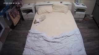 Lola shakes the bed with her boyfriend Lola shakes the bed with her boyfriend