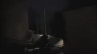 Fucking in the dark and we see it all Fucking in the dark and we see it all