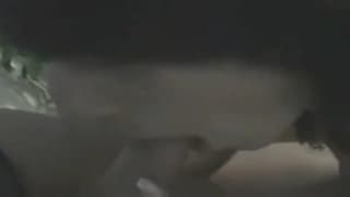 Bitch loves cock and loves to get a facial Bitch loves cock and loves to get a facial