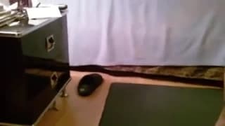Homemade video with a horny black couple Homemade video with a horny black couple
