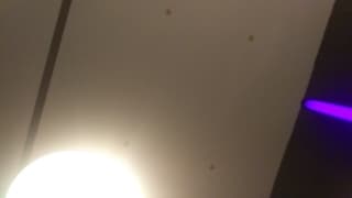 Black stud fucking me with his big cock Black stud fucking me with his big cock