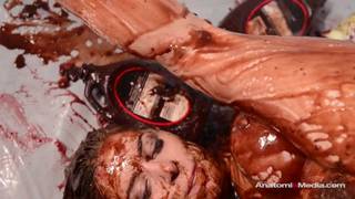 Lesbian orgy is rich in blueberry pie! Lesbian orgy is rich in blueberry pie!