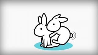 Blowjob, Female Friendly , Small Tits, Webcam , Cunnilingus