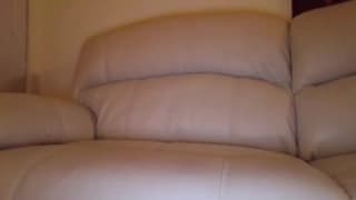 Horny shemale wanting to enjoy her cock at home Horny shemale wanting to enjoy her cock at home