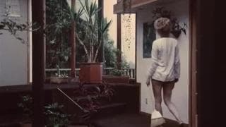 Retro threesome - classic 1970s American porn! Lesbian, Brunette , Sexy Lingerie, Vintage, Cunnilingus