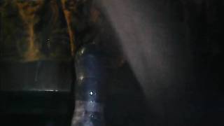 Hairy gay man sitting on his big sextoy Hairy gay man sitting on his big sextoy