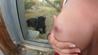 This couple get horny in the zoo and he cums on her tits This couple get horny in the zoo and he cums on her tits