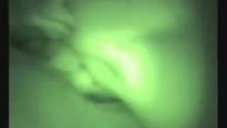 Blonde, Blowjob, Small Tits, Webcam , Cumshot, Ex-Girlfriend