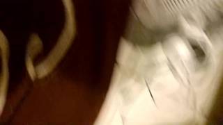 Sextape in a close-up 100% French amateur Sextape in a close-up 100% French amateur