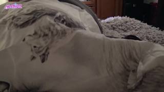 Victoria Alouqua performs oral sex and fucks Victoria Alouqua performs oral sex and fucks