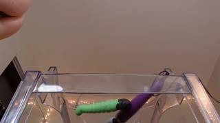 Up-close view of a pussy masturbation