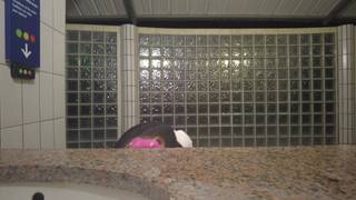 In any public restroom, the French woman films herself masturbating