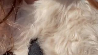 With all this cold, she sucks and fucks her man's frozen dick