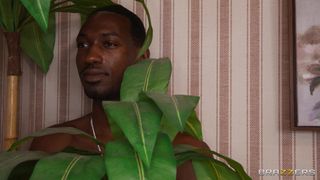 Ryan Reid in a blowbang with Hollywood Cash, Ace Hardz and BBC studs