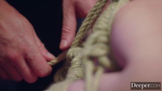 Blowjob, BDSM, Domination, XXX Scenario, Sextoys, Pornstar, Hardcore